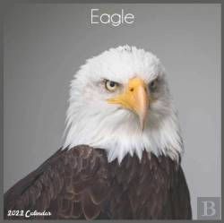 Bertrand.pt - Eagle 2022 Calendar