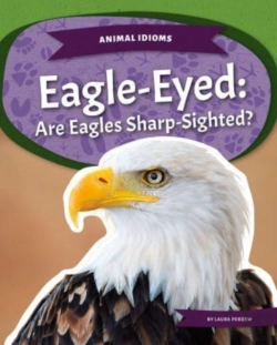 Bertrand.pt - Eagle-Eyed