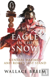Eagle In The Snow