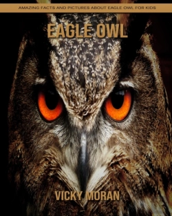 Bertrand.pt - Eagle Owl