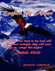Eagles Fly Alone