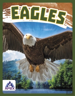 Bertrand.pt - Eagles