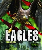 Eagles
