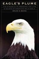 Eagle'S Plume