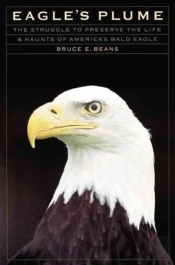 Eagle'S Plume