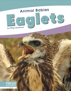 Bertrand.pt - Eaglets