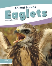 Eaglets