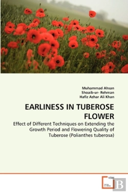 Bertrand.pt - Earliness In Tuberose Flower