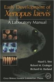 Early Development Xenopus Laevis