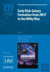 Early Disk-Galaxy Formation From Jwst To The Milky Way (Iau S377)