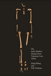 Early Modern Human From Tianyuan Cave, China