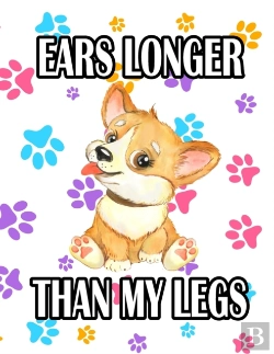 Bertrand.pt - Ears Longer Than My Legs