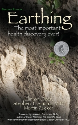 Bertrand.pt - Earthing (2nd Edition)