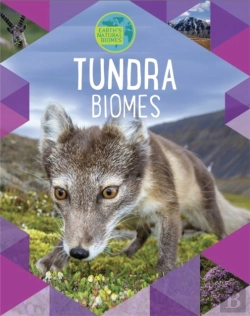 Bertrand.pt - Earth'S Natural Biomes: Tundra