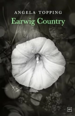 Bertrand.pt - Earwig Country