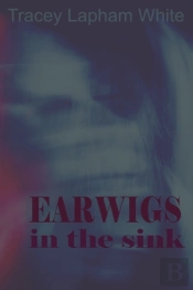 Earwigs In The Sink