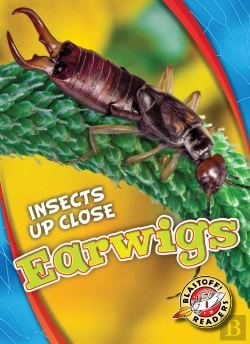 Bertrand.pt - Earwigs