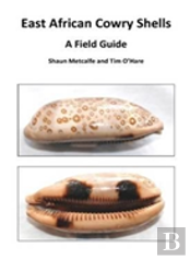 East African Cowry Shells
