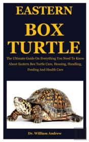 Eastern Box Turtle