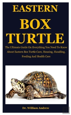 Bertrand.pt - Eastern Box Turtle