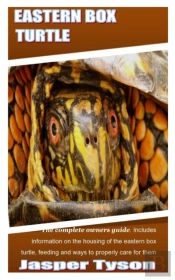 Eastern Box Turtle