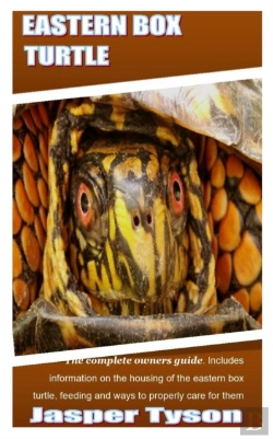 Bertrand.pt - Eastern Box Turtle