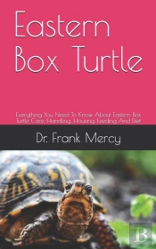 Eastern Box Turtle