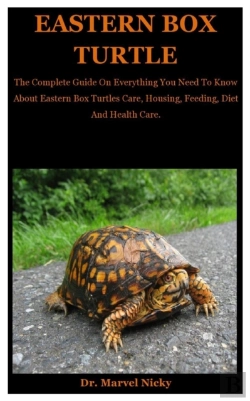 Bertrand.pt - Eastern Box Turtle
