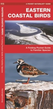 Eastern Coastal Birds