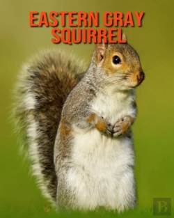 Bertrand.pt - Eastern Gray Squirrel