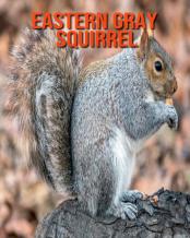 Eastern Gray Squirrel