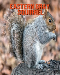 Bertrand.pt - Eastern Gray Squirrel