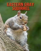 Eastern Gray Squirrel
