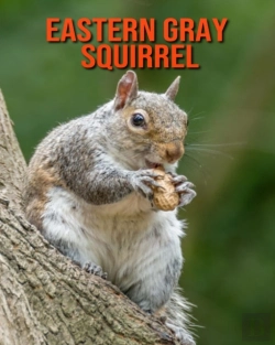 Bertrand.pt - Eastern Gray Squirrel
