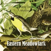 Eastern Meadowlark And Other Bird Songs
