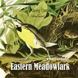 Bertrand.pt - Eastern Meadowlark And Other Bird Songs