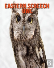 Eastern Screech Owl