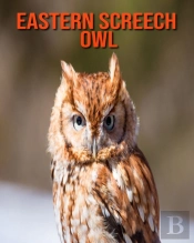 Eastern Screech Owl