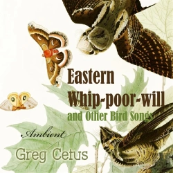 Bertrand.pt - Eastern Whip-Poor-Will And Other Bird Songs