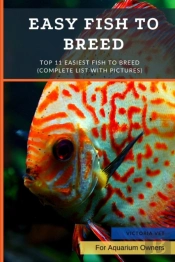 Easy Fish To Breed