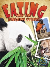 Eating And The Digestive System