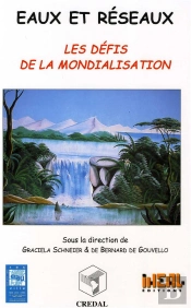 Eaux Et Reseaux : Les Défis De La Mondialisation