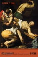 Ecclesiology And The Scriptural Narrative Of 1 Peter
