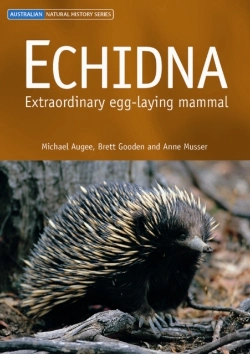Bertrand.pt - Echidna