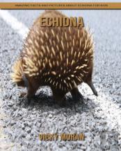 Echidna