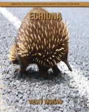 Echidna