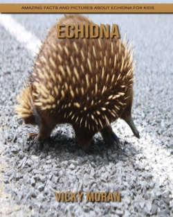 Bertrand.pt - Echidna