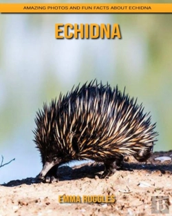 Bertrand.pt - Echidna