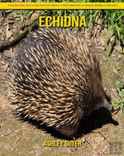 Bertrand.pt - Echidna