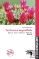 Echinacea Angustifolia